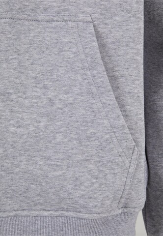 SOUTHPOLE Sweat jacket in Grey