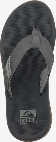 REEF T-Bar Sandals 'Santa Ana' in Grey