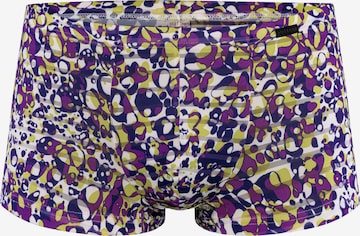 Boxers 'RED2610' Olaf Benz en violet : devant