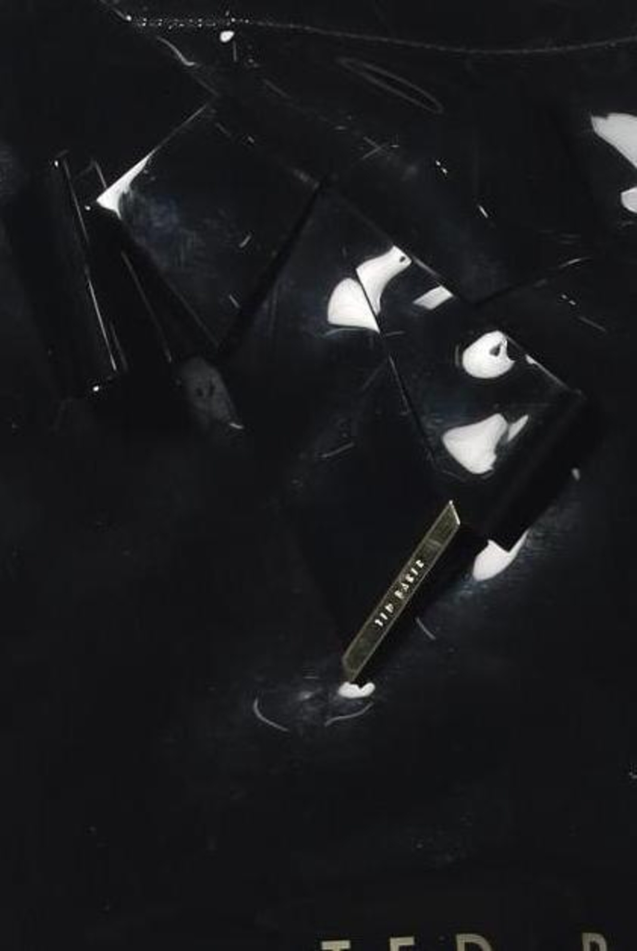 Ted Baker Bag in One size in Black