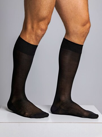 zd ZERO DEFECTS Kniestrümpfe 'Mercerized cotton knee socks' in Schwarz: Vorderseite