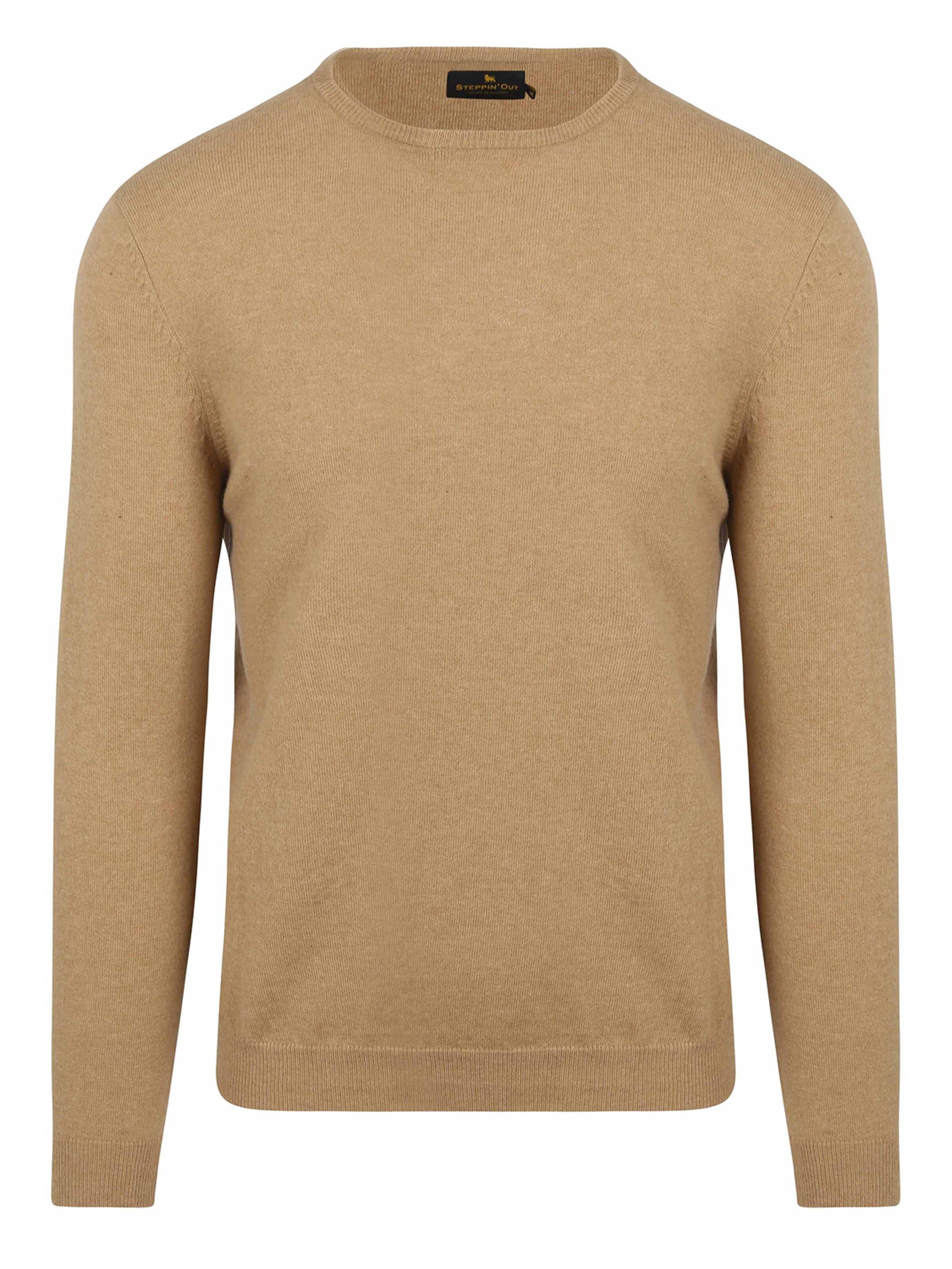 Steppin' out Trui in Beige: voorkant