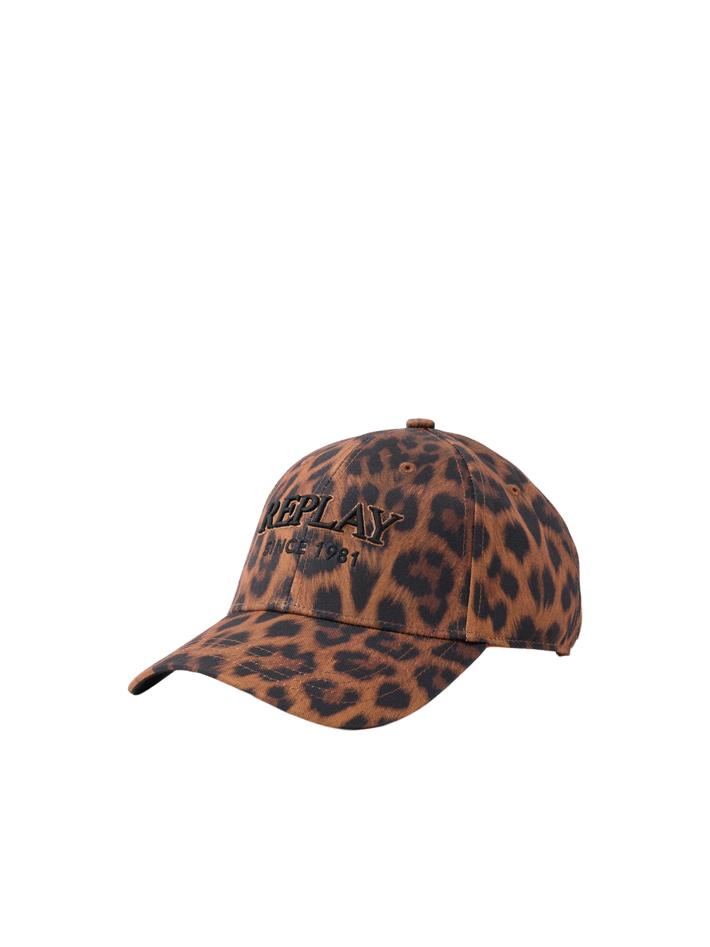 REPLAY Cap in Brown: front