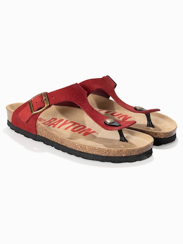 Bayton Μιούλ 'MERCURE' σε κόκκινο