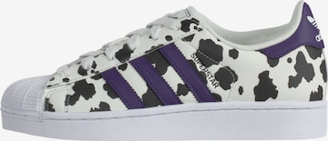 ADIDAS ORIGINALS Tennarit 'SUPERSTAR II' värissä valkoinen: etupuoli