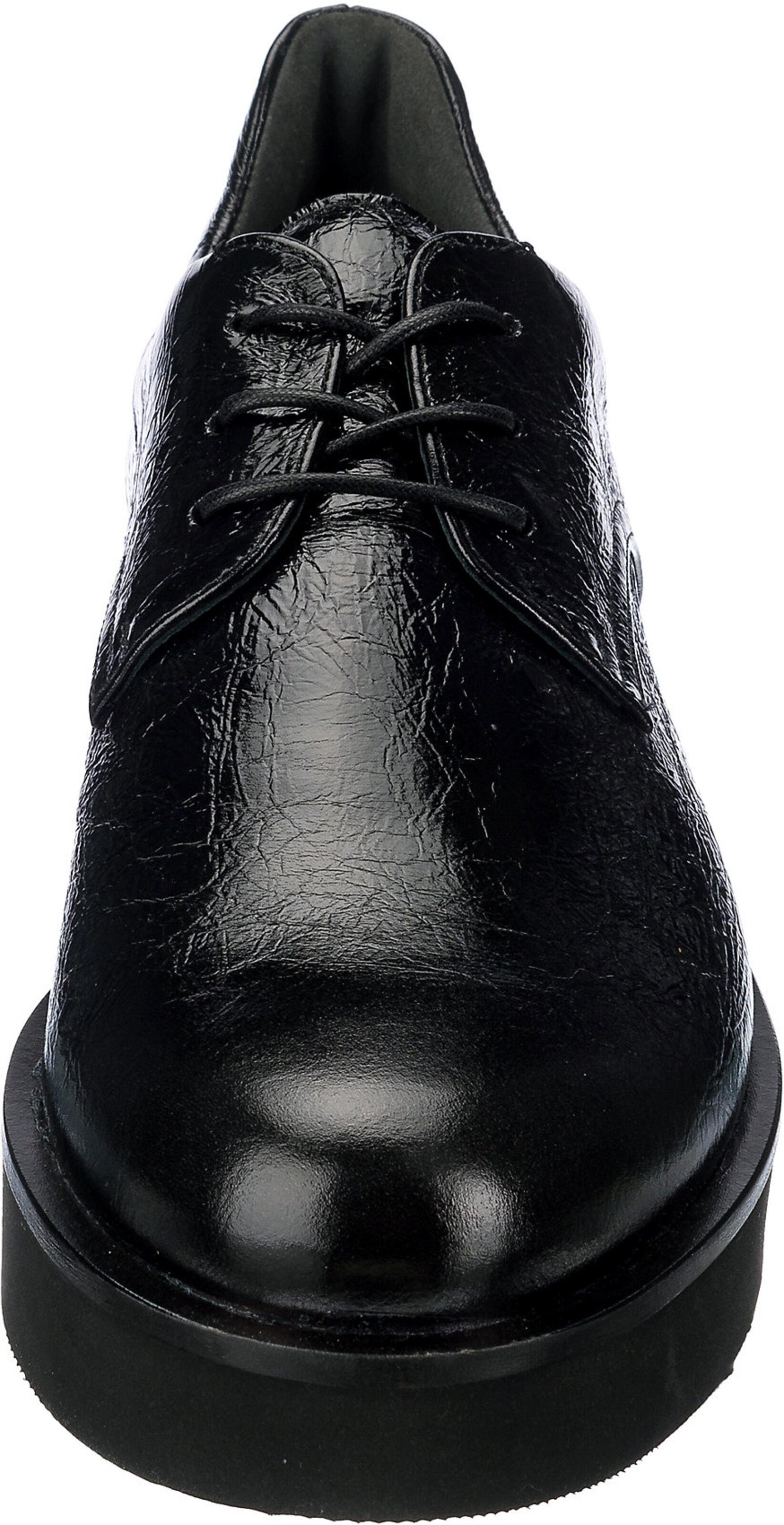 Chaussures Chaussure à lacets Scott Högl en Noir 