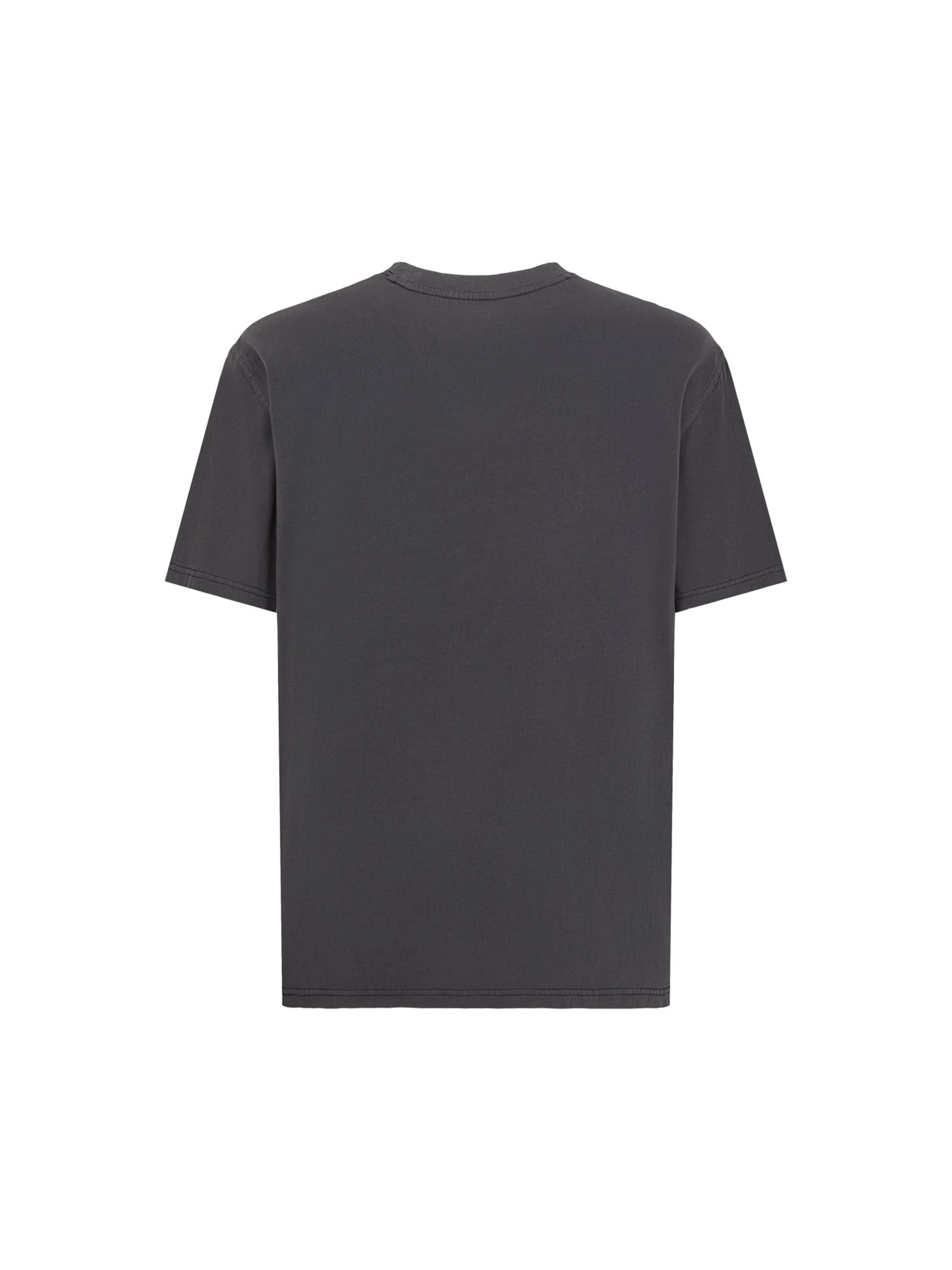 DICKIES T-shirt 'ROPE CHEST ' i svart