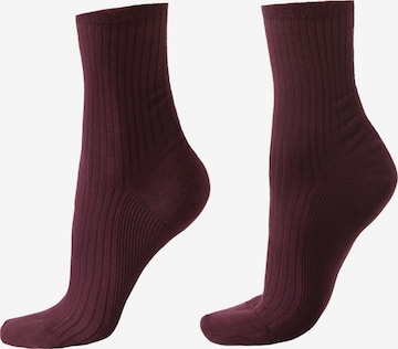 CALZEDONIA Socken in Rot: Vorderseite