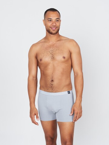Erlich Textil Boxer shorts 'Gustav' in Grey: front