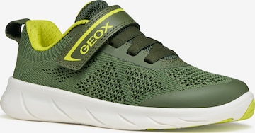 GEOX Sneaker in Grün: Vorderseite