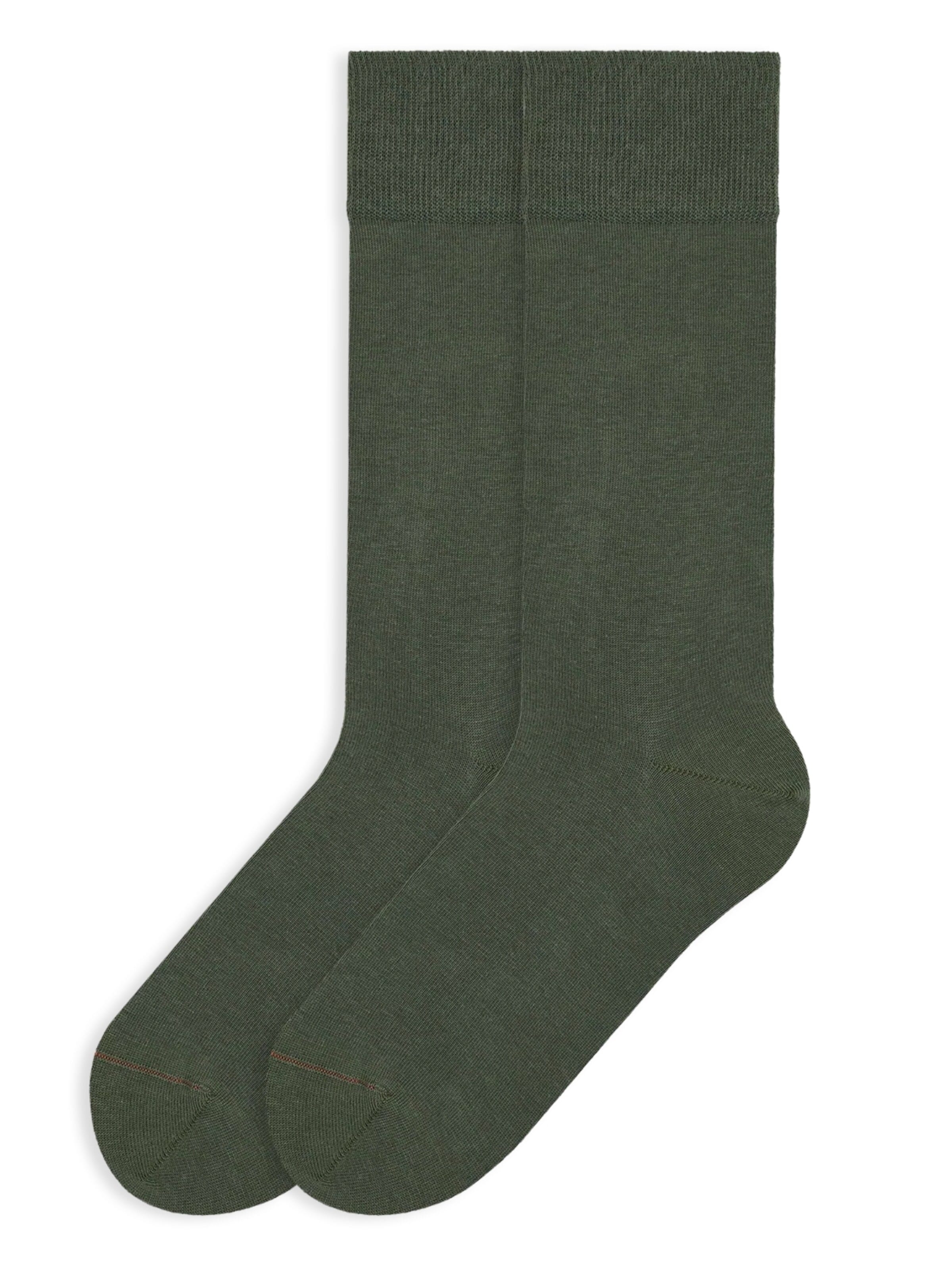 Von Jungfeld Socks 'Herbstfarben' in Green: front