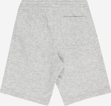 Levi's Kids Regular Broek in Grijs