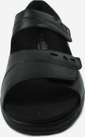 SOLIDUS Sandals in Black