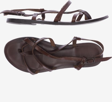 Zign Sandals & High-Heeled Sandals in 39 in Brown: front