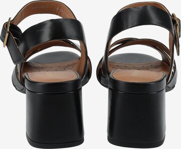 GEOX Sandalen met riem in Zwart