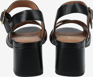 GEOX Strap Sandals in Black
