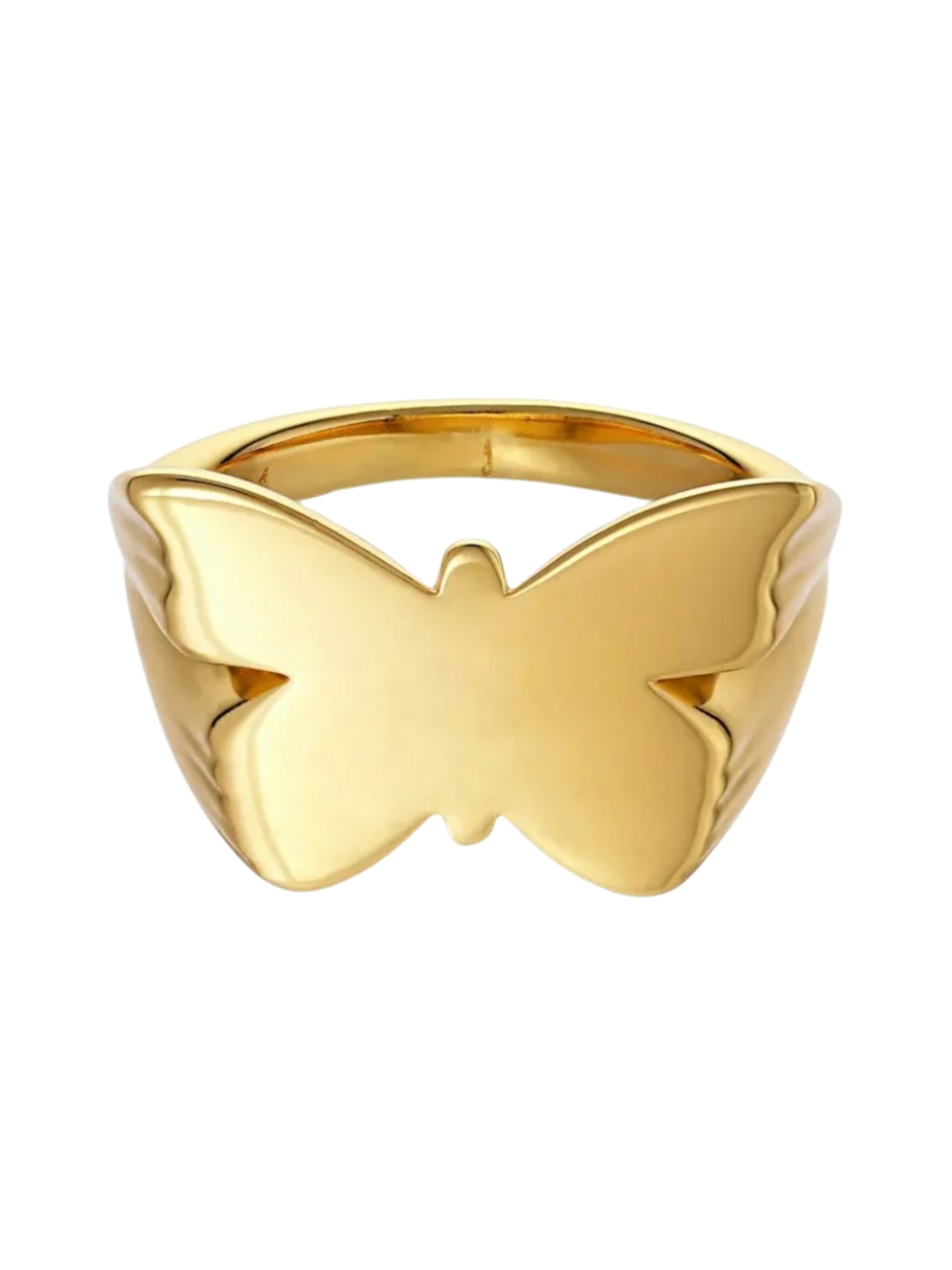 Jane Kønig Ring i guld: forside