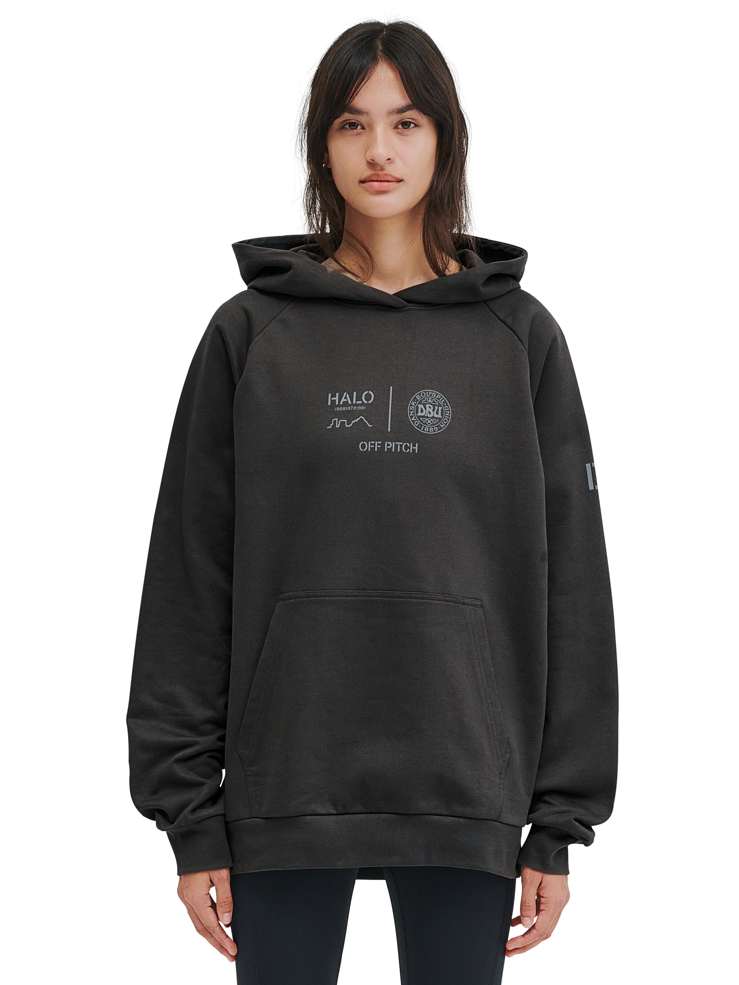 HALO Sweatshirt in Grey