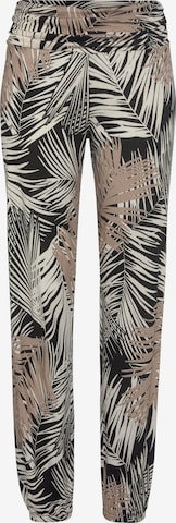 Pantaloni di BUFFALO in marrone: frontale