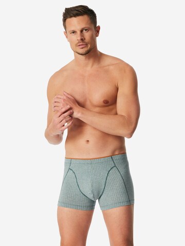 SCHIESSER - Calzoncillo boxer '95/5 Originals ' en verde: frente