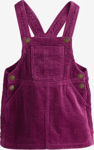 purpurinė Next Suknelė: priekis