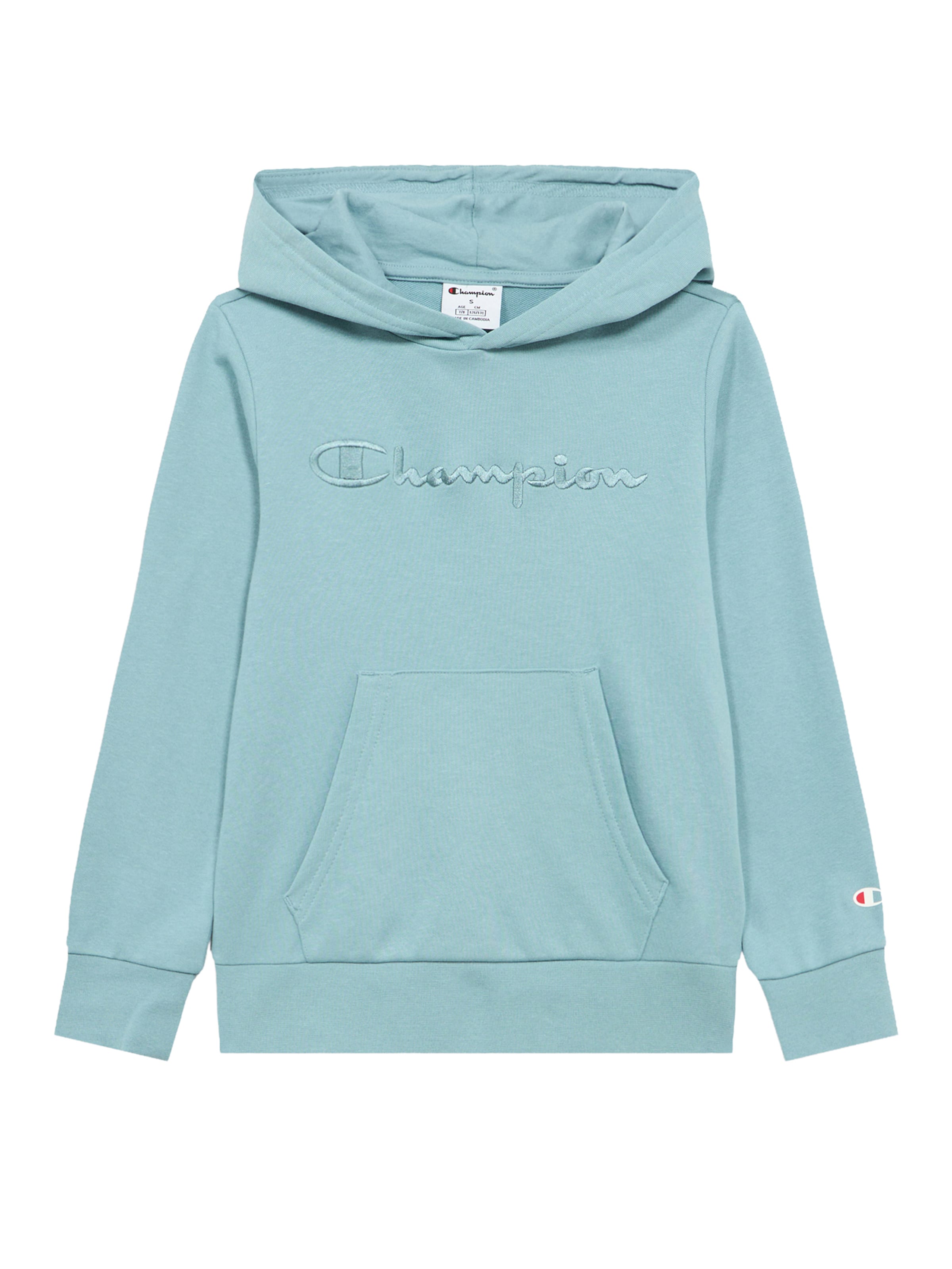Champion Authentic Athletic Apparel Bluza w kolorze niebieski: przód