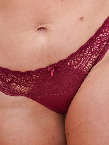 SugarShape String 'Pure Divine' in Rood
