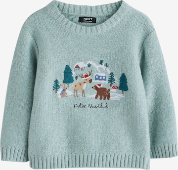 mėlyna Next Megztinis: priekis