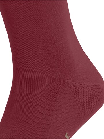 FALKE Socken 'Tiago'‌‌‌‌‌‌ in Rot