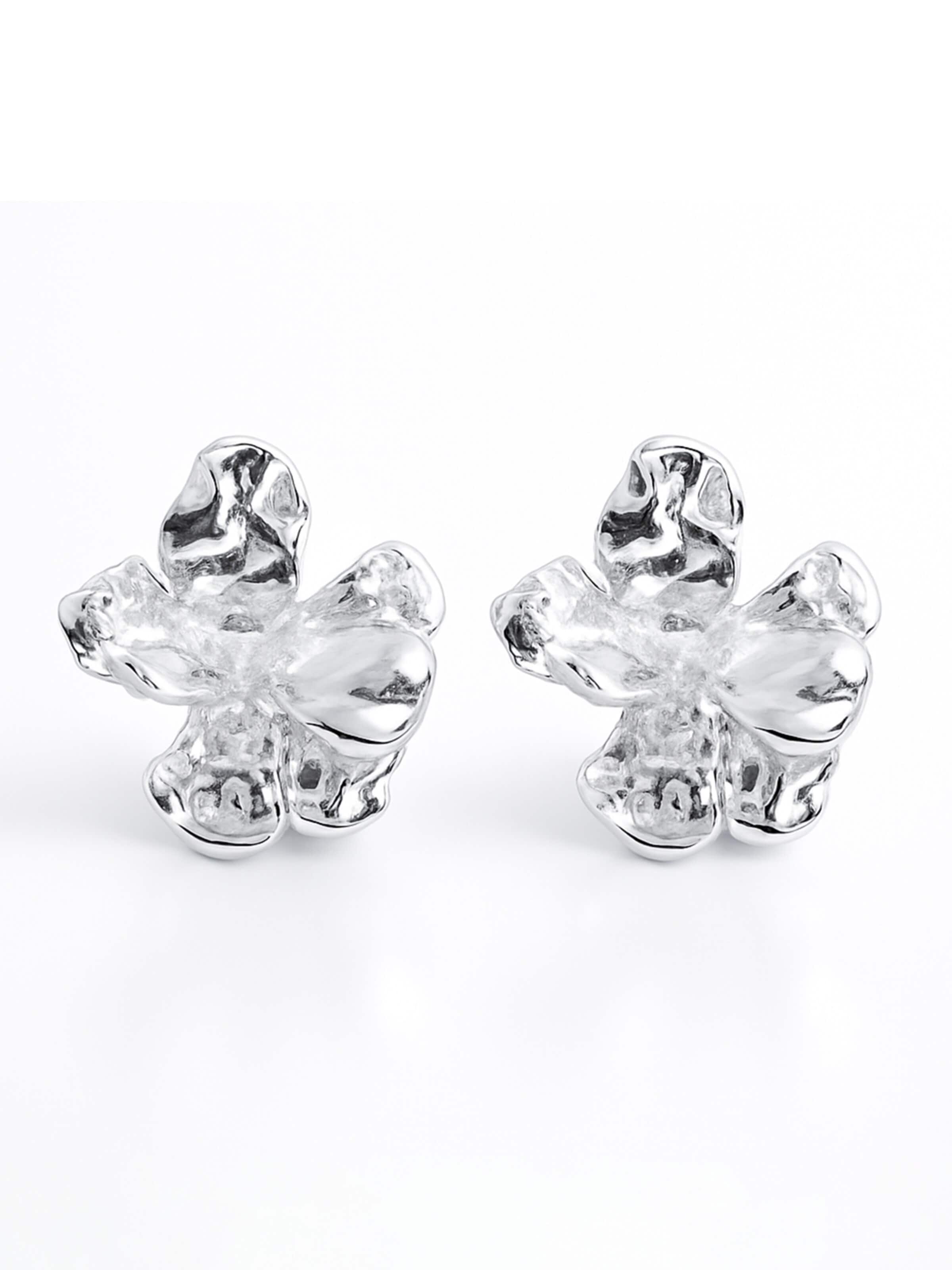 Nightini Earrings in Silver: front