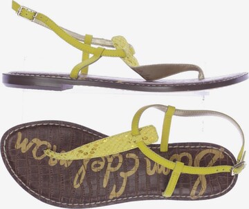 Sam Edelman Sandals & High-Heeled Sandals in 41,5 in Yellow: front