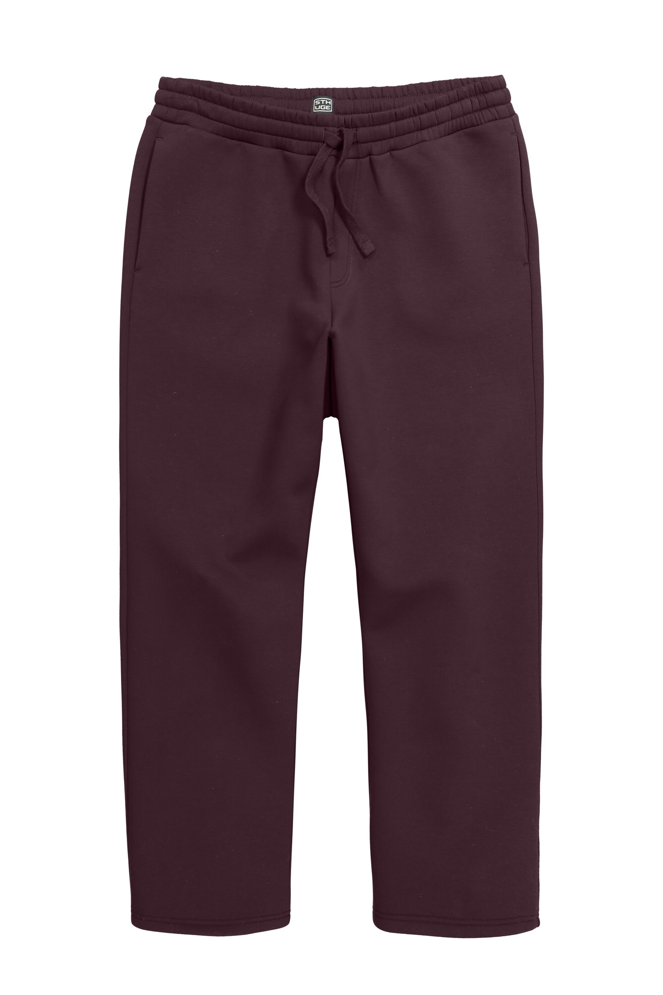 STHUGE Pants in Purple: front