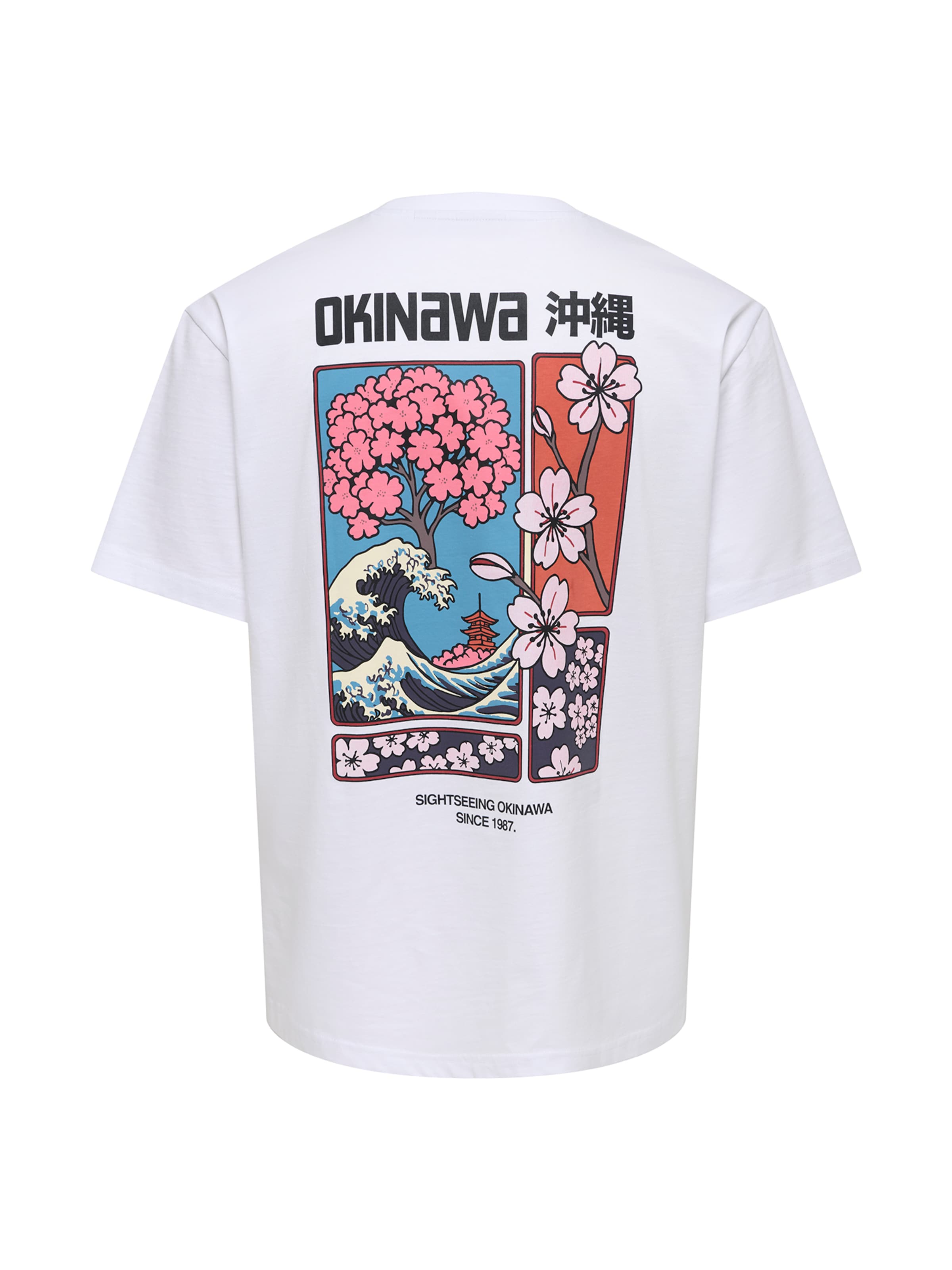 Only & Sons T-Shirt  'ONSFRED' in Weiß
