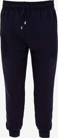 Jimmy Sanders Tapered Trousers in Blue: front