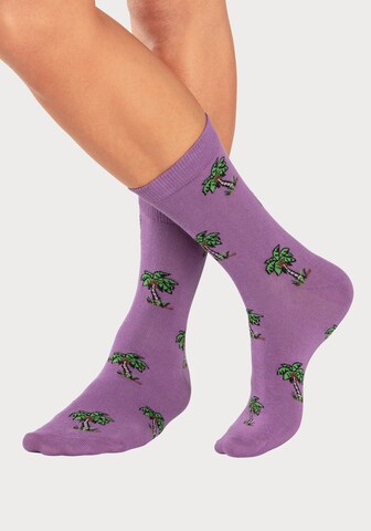 JOHN DEVIN Socks in Purple