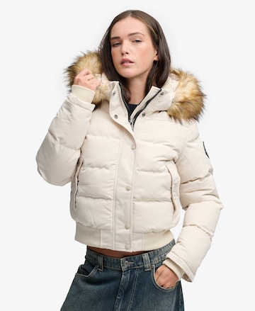 Superdry & Co Winterjas 'Everest' in Grijs