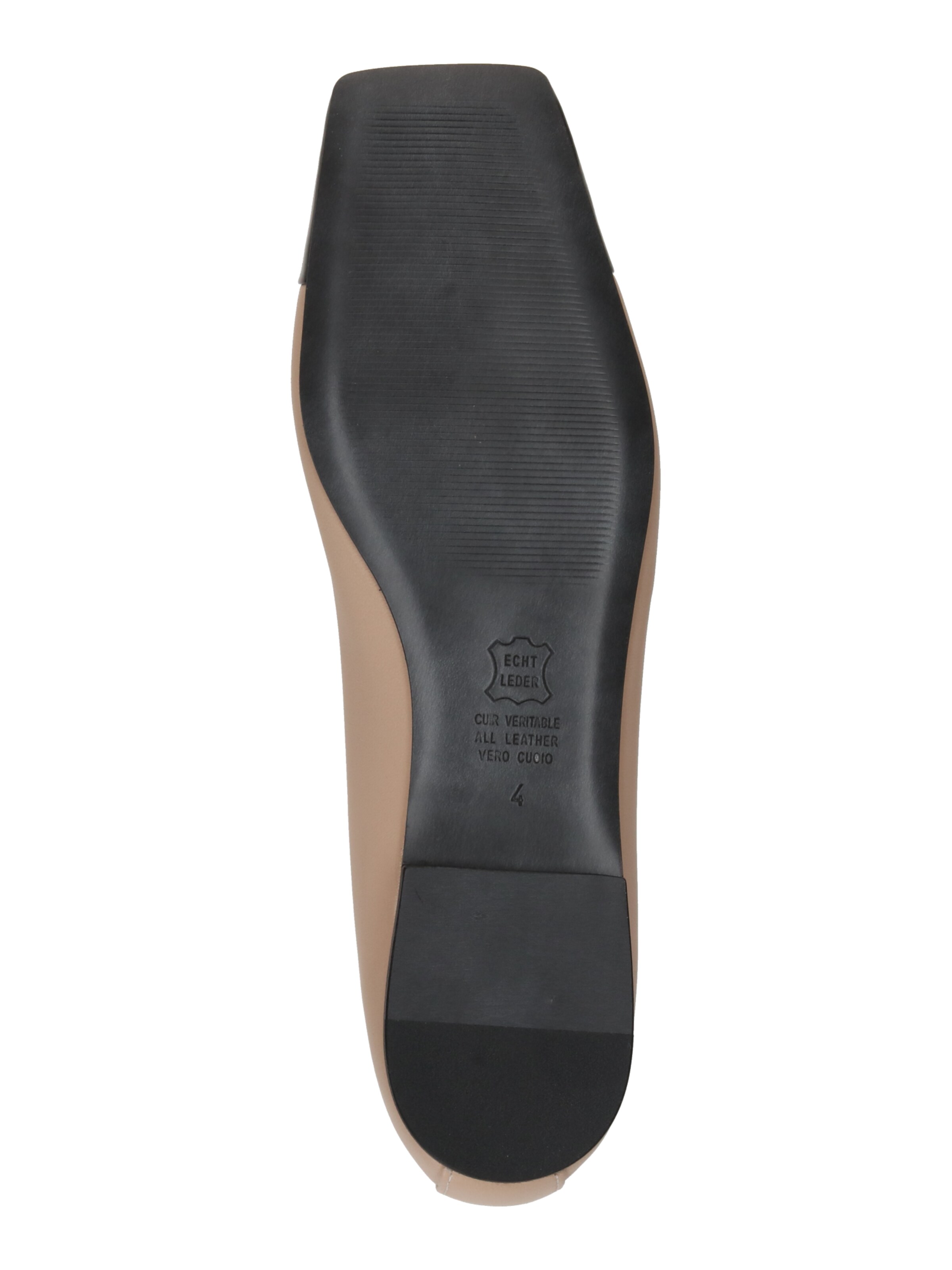 smėlio Kennel & Schmenger Balerinos 'Leila'