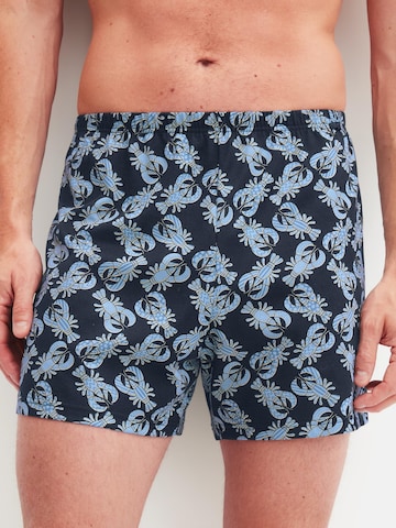 CALIDA Boxer shorts 'Prints' in Black