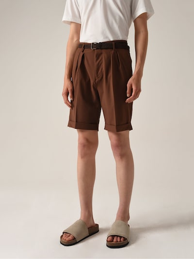 Antioch Bundfaltenhose in braun, Produktansicht