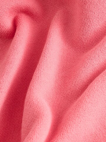 Next Kapuzenjacke in Pink