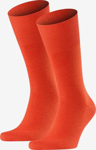 Chaussettes FALKE en orange : devant