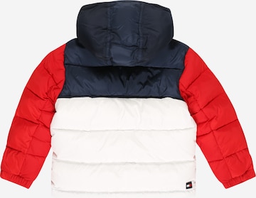 TOMMY HILFIGER Зимняя куртка 'ALASKA' в Белый