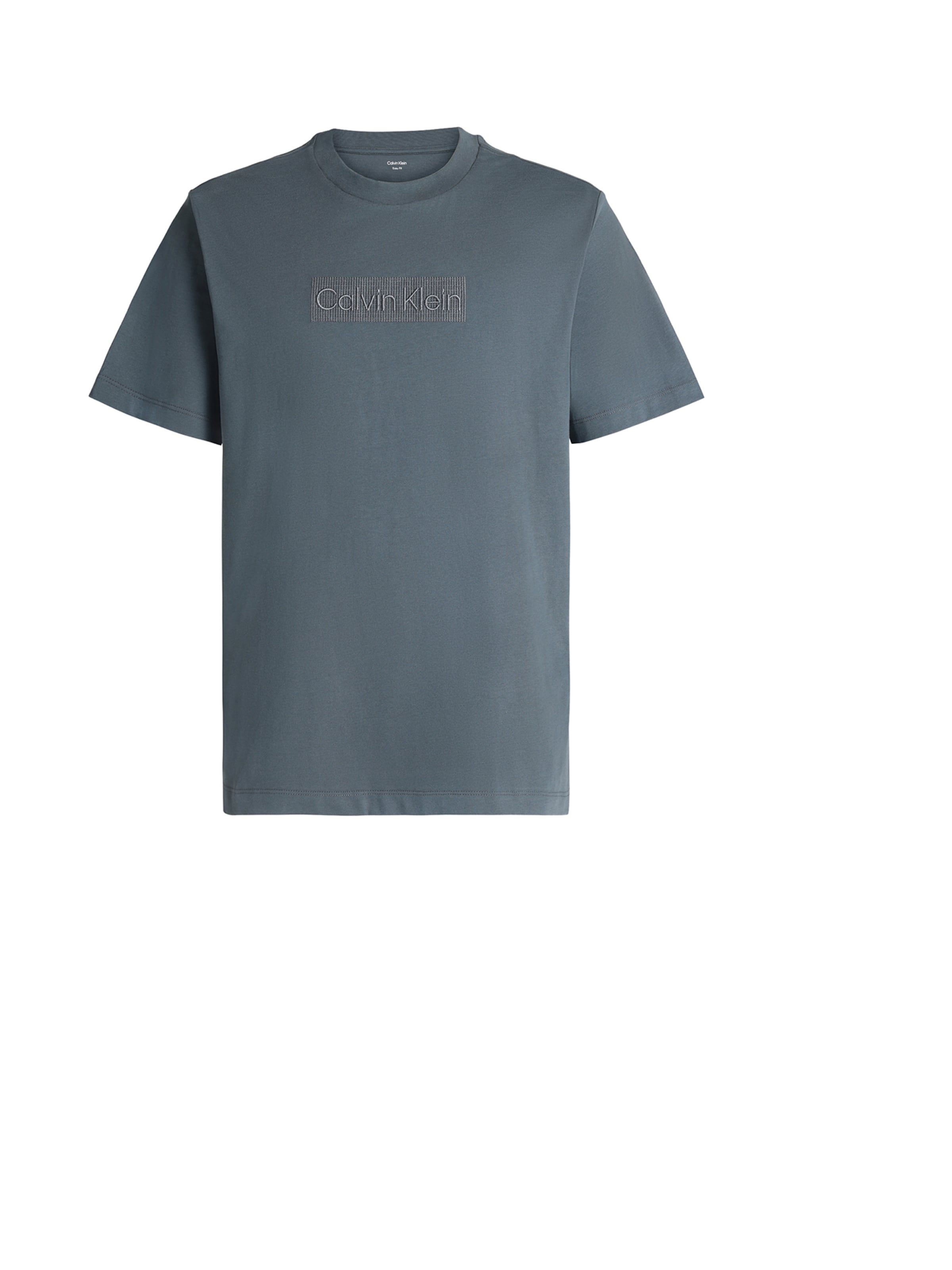 T-Shirt '20S' Calvin Klein en gris : devant