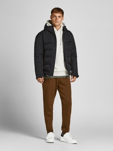 JACK & JONES Winterjas 'Darwin' in Zwart