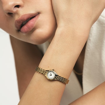 Mockberg Analog Watch in Gold