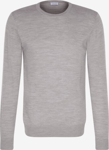 Pull-over SEIDENSTICKER en gris : devant