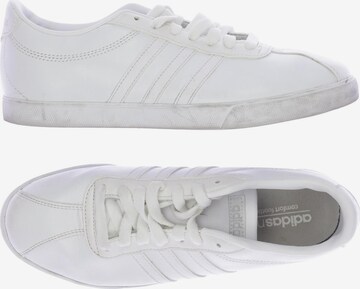 ADIDAS NEO Sneakers & Trainers in 39 in White: front