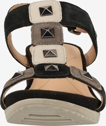 GEOX Sandalen met riem in Zwart