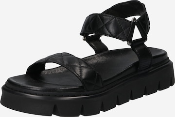 Apple of Eden Sandal 'Greyce' in Black: front