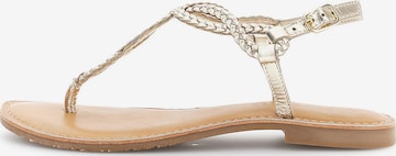 Sandalo di CAFè NOIR in oro: frontale